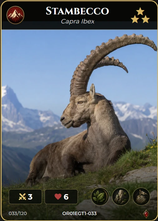 Stambecco